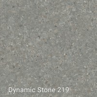 Dynamic Stone 219 Interfloor Vinyl 